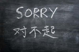 用粉筆在黑板上以英文和中文寫的「sorry」。 — 黑板 壁紙