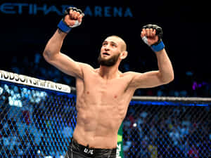 Ufc 背景 — 勝利 壁紙