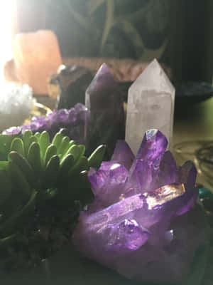 紫色紫水晶晶體和綠色多肉植物排列在一個神秘的室內環境中，帶有柔和的陽光。 — iPad Pro 13 壁紙