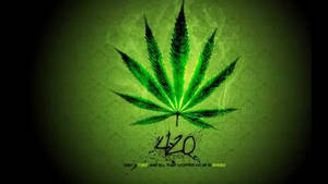 發光的綠色大麻葉與「420」塗鴉，深綠色紋理背景。 — 吸大麻 壁紙