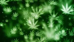 在柔和的漸變背景中漂浮的發光綠色大麻葉。 — 大麻 壁紙