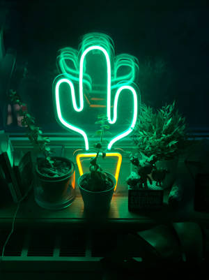 綠色霓虹仙人掌燈在夜間照亮深色架子上的盆栽植物。 — 綠光戰警 壁紙