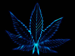黑色背景上發光的藍色霓虹大麻葉 — 大麻 壁紙