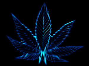 發光的藍色霓虹大麻葉，在黑色背景上帶有銳利線條 — 霓虹藍動畫 壁紙