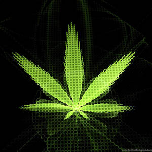 黑色背景上帶有六邊形圖案的螢光綠色大麻葉 — 葉子 壁紙