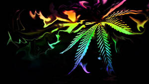 霓虹大麻葉在黑暗旋轉背景上發出彩虹色光芒。 — 吸大麻 壁紙