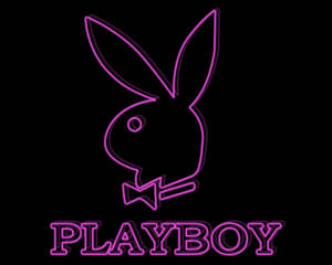 紫色霓虹燈Playboy兔子標誌，附有蝴蝶結和文字，背景為黑色。 — 花花公子 GIF 壁紙