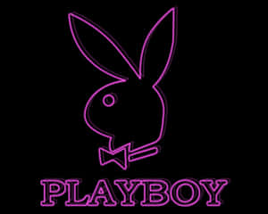 紫色霓虹燈Playboy兔子標誌，配蝴蝶結及文字，黑色背景。 — 花花公子 GIF 壁紙