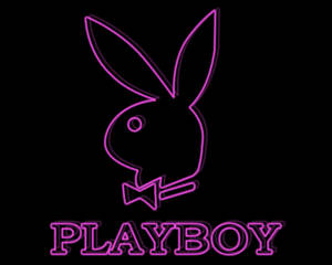 紫色霓虹燈Playboy兔子標誌，配有蝴蝶結和文字，背景為黑色。 — 霓虹紫 壁紙