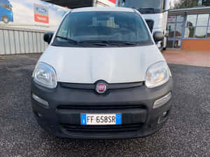 白色Fiat Panda汽車停放在卡車經銷商前面。 — 可愛熊貓 壁紙