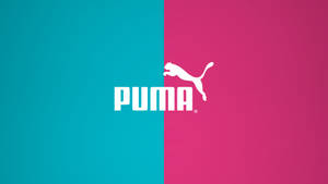 Puma品牌標誌在青綠色和洋紅色分割背景上。 — 噗卡 壁紙
