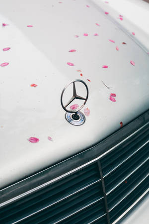 粉紅色花瓣放在經典白色賓士的引擎蓋上。 — Mercedes Amg iPhone 壁紙