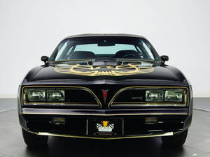 攝影棚內黑色Pontiac Firebird，引擎蓋上有金色鳳凰貼紙和飾條。 — 美洲豹汽車 壁紙