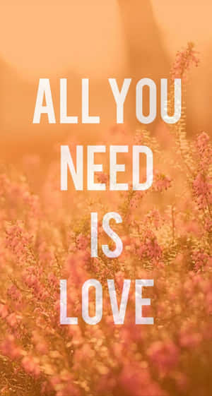 文字疊加，寫著「All You Need Is Love」，在金色光芒中的粉紅色花朵上。 — 愛情語錄 GIF 壁紙