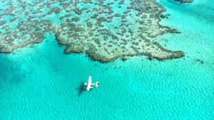 珊瑚礁附近碧綠海水上的白色水上飛機。 — 海洋 壁紙