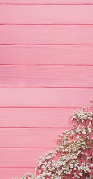 粉紅色木板上的白色滿天星花朵。 — 可愛又粉嫩 壁紙