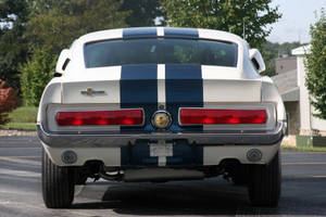 白色經典Shelby Mustang配藍色賽車條紋，停泊在陽光明媚的郊區地段。 — 汽車 iPhone 壁紙