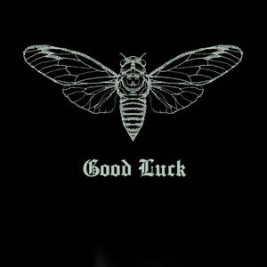 白色線條繪畫的蟬，帶有骷髏臉和「Good Luck」文字在黑色背景上。 — 蟬 壁紙