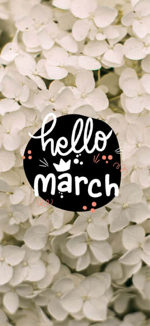 白色繡球花與黑色圓形圖案，上面寫著hello march。 — iPhone 17e 壁紙