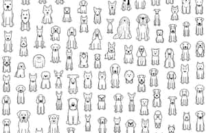 各種犬種的黑白線條圖案。 — 卡通狗 壁紙