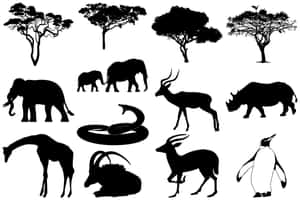 白色背景上動物和樹木的黑色剪影，包括大象、犀牛、長頸鹿、企鵝和蛇。 — 剪影 壁紙