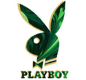 帶有綠色大理石圖案和金色邊框的Playboy標誌 — 花花公子 GIF 壁紙