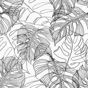 重複圖案中的熱帶龜背竹葉的黑白線條畫。 — 插畫 壁紙