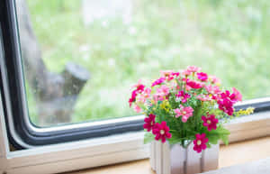 窗台上花瓶中的彩色花朵和綠色花園景色。 — 花朵美學動態圖 壁紙