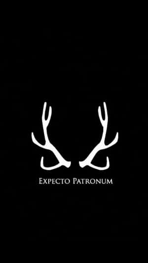 黑色背景上的白色鹿角與文字 Expecto Patronum。 — 魔法動圖 壁紙