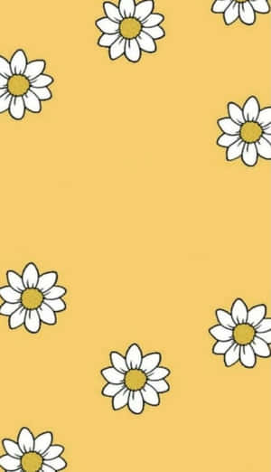 黃色花心的雛菊在芥末黃色背景上。 — 美學黃色 壁紙
