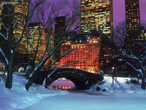 中央公園被雪覆蓋的橋樑，夜晚有燈火通明的城市建築。 — 冬季風景 壁紙