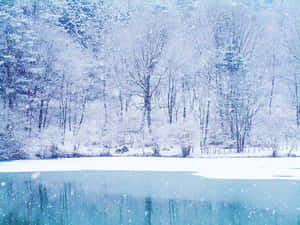 白雪覆蓋的樹木和冰凍的湖面，雪花飄落 — 美麗的秋天 壁紙