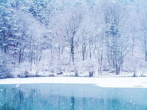 白雪覆蓋的樹木和結冰的湖泊在寧靜的冬日景觀中 — 冬季風景 壁紙