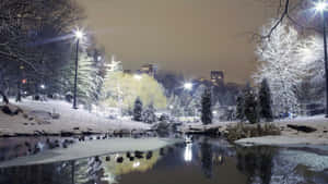 夜晚積雪的公園池塘，街燈和城市天際線倒影 — 冬季風景 壁紙