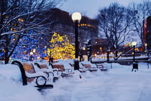 冬日城市，暮色中節日燈光下白雪覆蓋的公園長椅。 — MacBook Air 壁紙