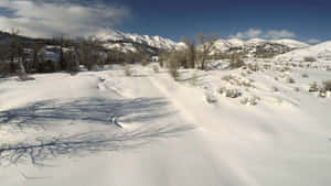 白雪覆蓋的山谷，光禿禿的樹木和遠山，在清澈的藍天下。 — 冬季風景 壁紙