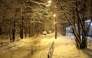 被溫暖路燈照亮的積雪城市街道，有光禿的樹木和停泊的汽車。 — 冬季 壁紙