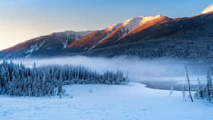 雪山與冰凍森林上昇起的霧氣，日出時分。 — 冬季風景 壁紙