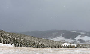 白雪覆蓋的常綠樹和山丘，灰暗的冬日天空下雪花飄落。 — 北卡羅來納 壁紙