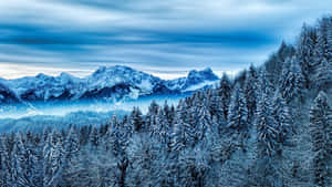白雪覆蓋的森林和山脈，藍天白雲呈條紋狀。 — 冬季美學 壁紙