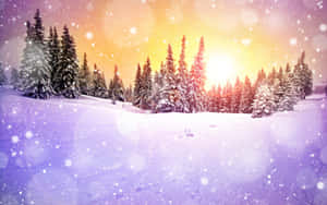 日落時分，白雪覆蓋的松林，天空閃爍，雪花飄落。 — 冬季桌面 壁紙