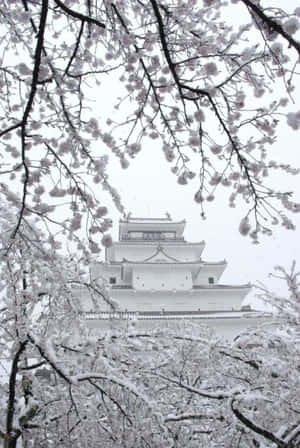 積雪的櫻花在冬天襯托出傳統的日本城堡。 — 灰色美學動圖 壁紙