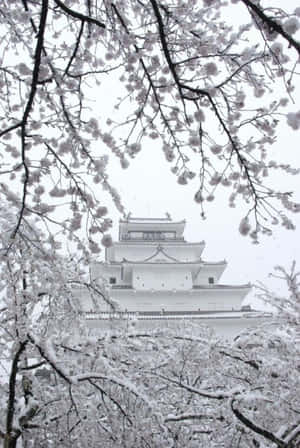 被雪覆蓋的櫻花在冬天襯托出一座傳統日本城堡。 — 日式 壁紙