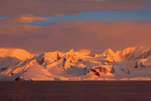 白雪覆蓋的南極山峰沐浴在金色夕陽下，映照在平靜的水面上。 — 南極洲 壁紙