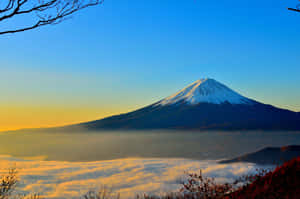 富士山在日出時聳立於雲海之上，由光禿的樹枝框住。 — 東京 壁紙