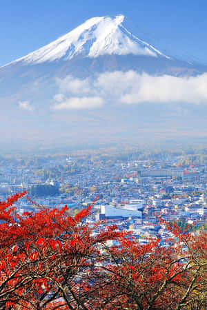 白雪覆蓋的富士山俯瞰著前景有紅色秋葉的城鎮。 — 日本 壁紙