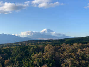 藍天下秋林之上的富士山雪頂 — 富士山 壁紙
