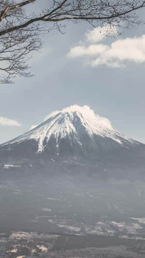 從上方俯瞰白雪皚皚的富士山，前景是光禿的樹枝。 — 日式美學 iPhone 壁紙