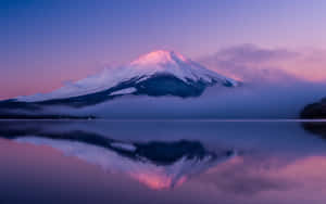 富士山在黎明時分倒映在湖中，天空呈現粉紅色和紫色 — 日本 壁紙