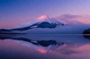 富士山倒映在黎明時分的平靜湖面上，呈現粉紅色和紫色調。